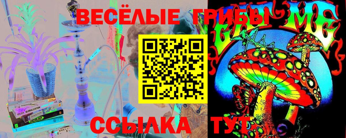 Саранск  Галлюциногенные грибы прущие грибы  Вход с VPN  Галлюциногенные грибы GOLDEN TEACHER 